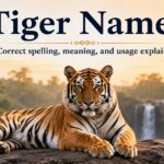 Cool And Catchy Tiger Names With Name Generator