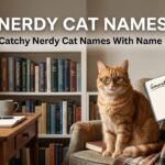 Cool And Catchy Nerdy Cat Names With Name Generator